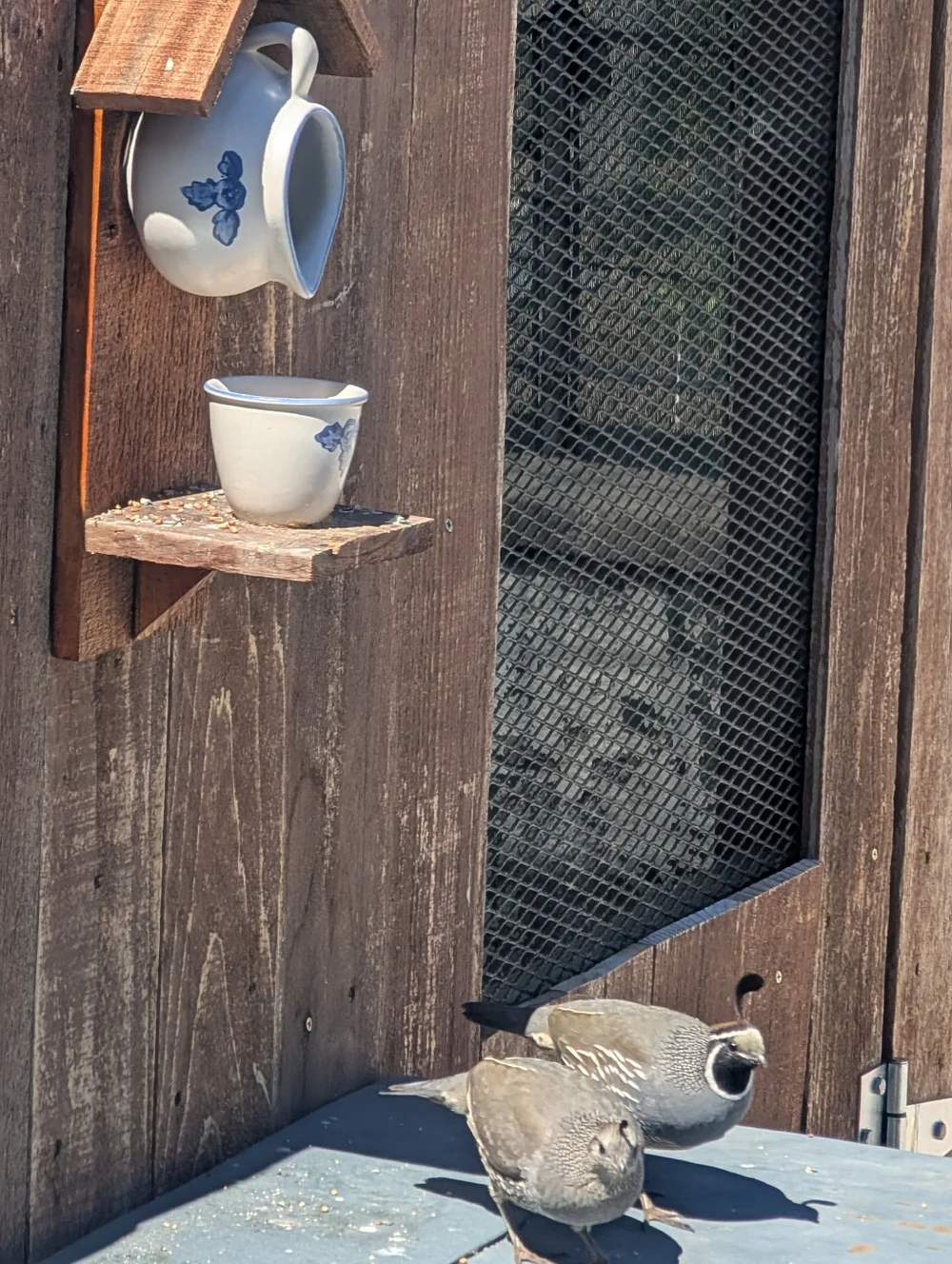 Rustic Wooden Handmade Bird Feeder Teapot Tea For All